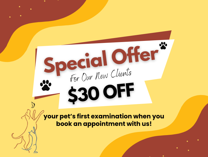 New Client Coupon