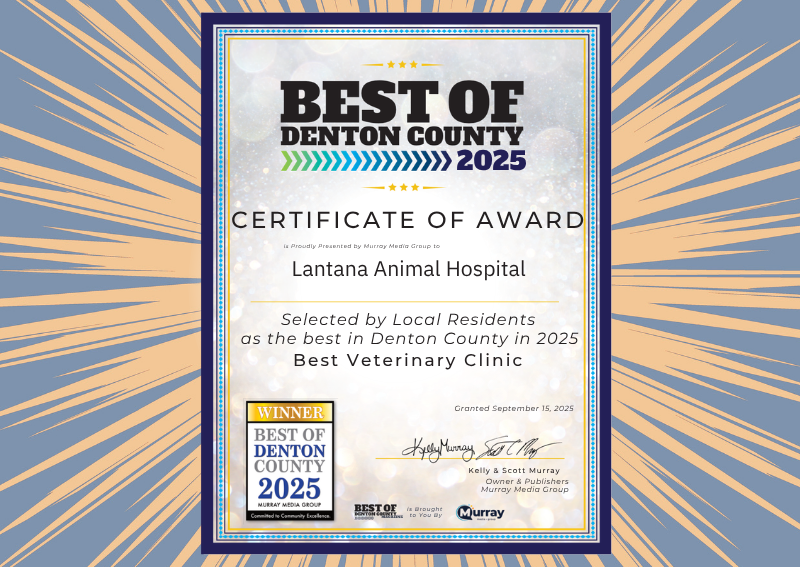 Carousel Slide 2: 2025 Best of Denton Winner!