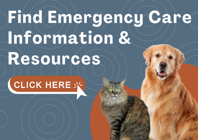 Carousel Slide 3: Find Emergency Care